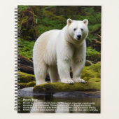 Calendrier de l'ours spirituel (Devant)