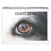Calendrier de l'ouzo 2010 (Protection)