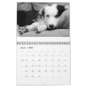 Calendrier de l'ouzo 2010 (Mar 2026)