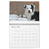 Calendrier de l'ouzo 2010 (Feb 2026)