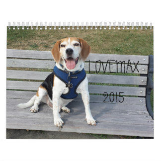 Calendrier de LOVEMAX 2015