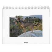 Calendrier de l'universitaire de Twinkie 2011 (Dos)