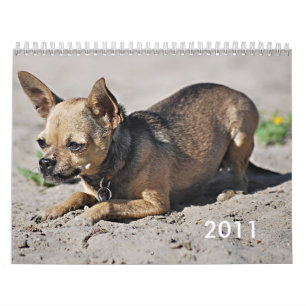 Calendrier de l'universitaire de Twinkie 2011