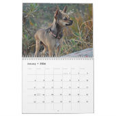 Calendrier de l'universitaire de Twinkie 2011 (Jan 2026)