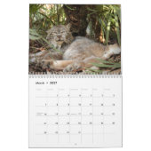 Calendrier de Lynx de Canadien, Canadien Lynx (Mar 2027)
