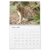 Calendrier de Lynx de Canadien, Canadien Lynx (Jan 2027)