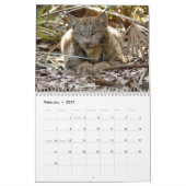 Calendrier de Lynx de Canadien, Canadien Lynx (Feb 2027)