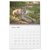 Calendrier de Lynx de Sibérien, Sibérien Lynx (Jan 2026)