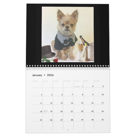 Calendrier de M. Monks 2017 (Jan 2026)