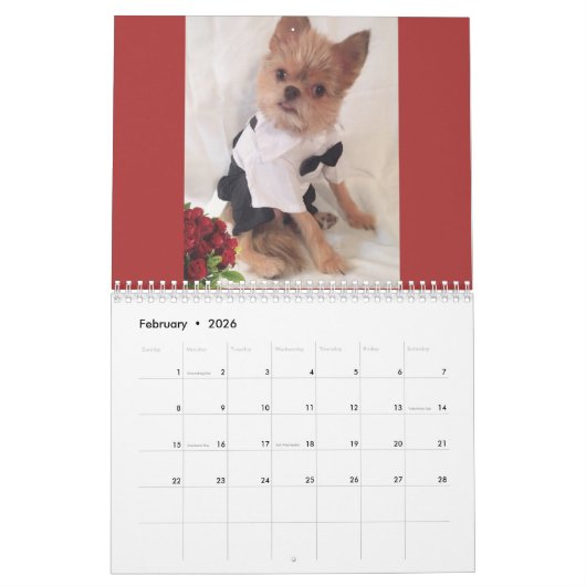 Calendrier de M. Monks 2017 (Feb 2026)