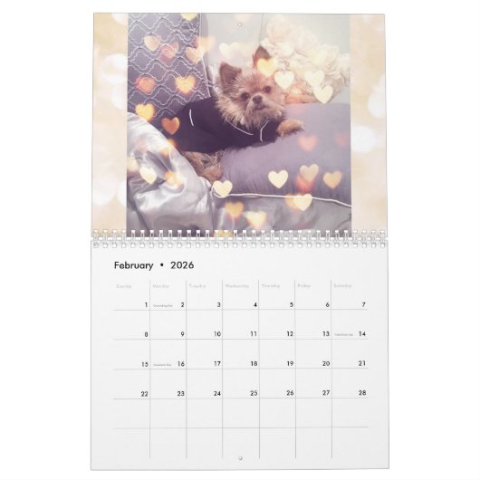 Calendrier de M. Monks 2019 (Feb 2026)