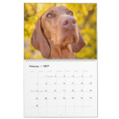 Calendrier de Magyar Vizsla (Feb 2027)