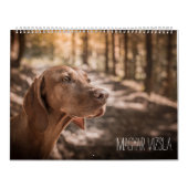 Calendrier de Magyar Vizsla (Protection)