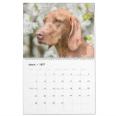 Calendrier de Magyar Vizsla (Mar 2027)