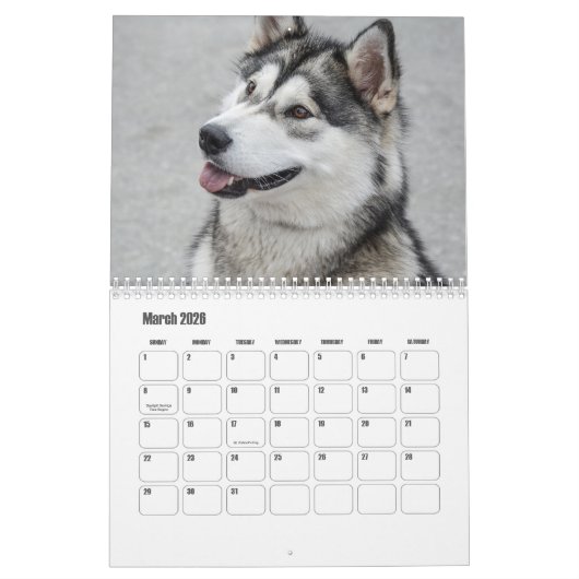 Calendrier de malamute en Alaska (Mar 2026)