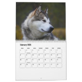 Calendrier de malamute en Alaska (Feb 2026)