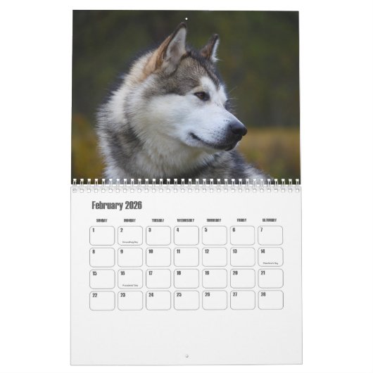 Calendrier de malamute en Alaska (Feb 2026)