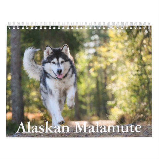 Calendrier de malamute en Alaska (Protection)