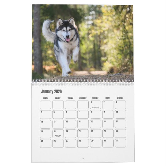 Calendrier de malamute en Alaska (Jan 2026)