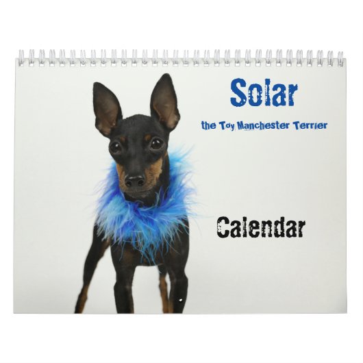 Calendrier de Manchester Terrier 2021 B (Protection)
