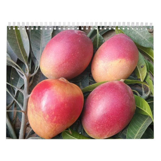 Calendrier de mangue Extraordinaire 2023 (Protection)