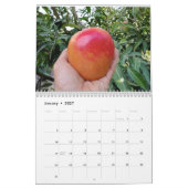 Calendrier de mangue Extraordinaire 2023 (Jan 2027)