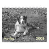 Calendrier de Marley (Protection)