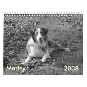 Calendrier de Marley