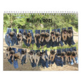Calendrier de mastiff (Protection)