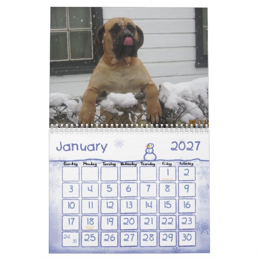 Calendrier de mastiff (Jan 2027)