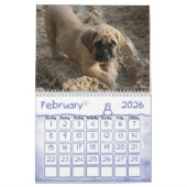 Calendrier de mastiff (Feb 2026)