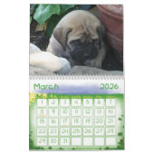 Calendrier de mastiff (Mar 2026)