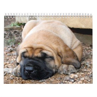 Calendrier de mastiff de sommeil