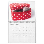 Calendrier de mauvais poil curieux 2011 (Feb 2026)