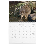 Calendrier de Meerkats 2010 (Feb 2026)