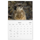 Calendrier de Meerkats 2010 (Mar 2026)