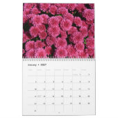 Calendrier de mères 2016 (Jan 2027)