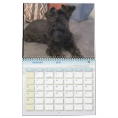 Calendrier de minimalisme TOUTE ANNÉE/TAILLE/COULE (Feb 2027)