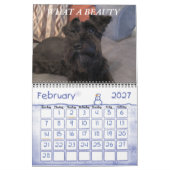 Calendrier de minimalisme TOUTE ANNÉE/TAILLE/COULE (Feb 2027)