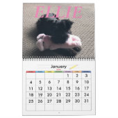 Calendrier de minimalisme TOUTE ANNÉE/TAILLE/COULE (Jan 2026)