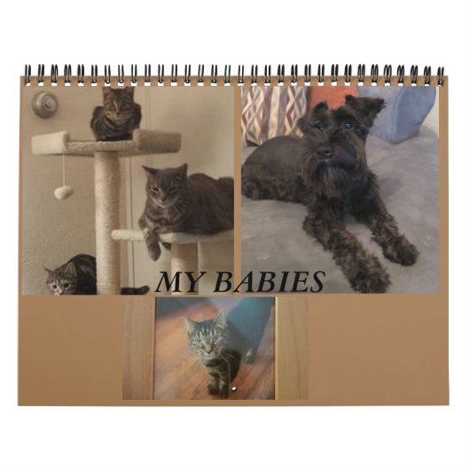 Calendrier de minimalisme TOUTE ANNÉE/TAILLE/COULE (Protection)