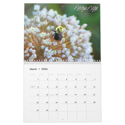 Calendrier de Mint Hill North Carolina (Mar 2026)