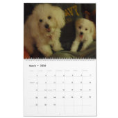 Calendrier de Muffie et de Snowie 2008 (Mar 2026)