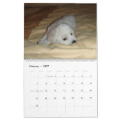 Calendrier de Muffie et de Snowie 2008 (Feb 2027)