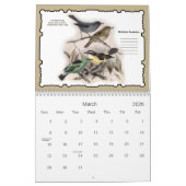 Calendrier de mur d'oiseaux 2021 Feathered Friends (Mar 2026)