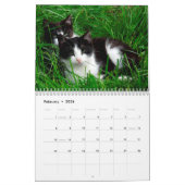 Calendrier de mur photo de chats de Tuxedo (Feb 2026)