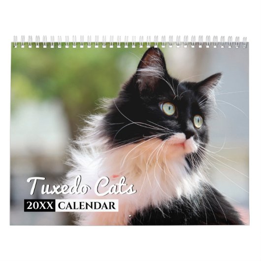 Calendrier de mur photo de chats de Tuxedo (Protection)
