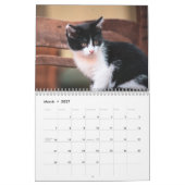 Calendrier de mur photo de chats de Tuxedo (Mar 2027)