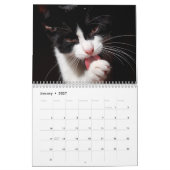 Calendrier de mur photo de chats de Tuxedo (Jan 2027)