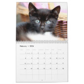 Calendrier de mur photo de Kitties Noires (Feb 2026)